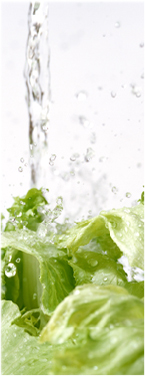 livrare gratuita catering cluj